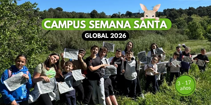 banner campus semana santa global