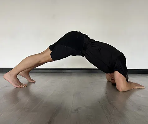 hypofit nacho actividad